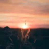 nature sunrise wallpaper nature sunrise wallpaper